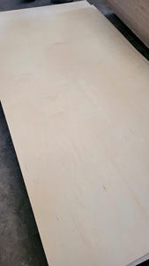 Contrachapado Fomex de Primera Calidad con Núcleo de Eucalipto y Chapa de Abedul, Estándar E0 de Formaldehído, Decoración de Doble Cara, Diseño Moderno para Interiores - Product Image 3