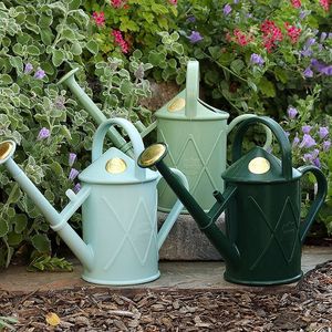 Arrosoir décoratif moderne en métal avec surface émaillée imprimée, léger et durable pour les besoins de jardinage intérieur et extérieur - Product Image 1