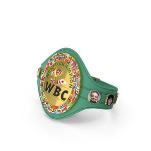 Cinturón de Campeonato de Boxeo MMA Profesional Personalizado, Aleación de Zinc, Chapado en Oro, Correa de Cuero Premium, Unisex, Cómodo, Trofeo de Premio - Product Image 6