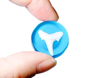 Dientes de Tiburón Artificiales Modernos de Plástico Cabujón, Redondos de 25x25 mm con Base Plana Azul Transparente para Manualidades y Joyería - Product Image 2
