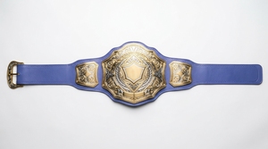 Personalized Championship <b>Belt</b> Custom Sports Trophy <b>Belt</b> Gold Plated Metal Award for <b>Wrestling</b> Boxing - Product Image 2