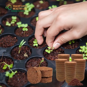 Disques de coco écologiques avec rétention des nutriments et plateau à semis en plastique pour la culture des plantes ECO2GO VIETNAM - Product Image 2