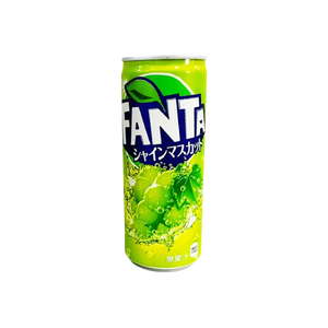 Refrescos Fanta con Sabores Internacionales al por Mayor - Product Image 3