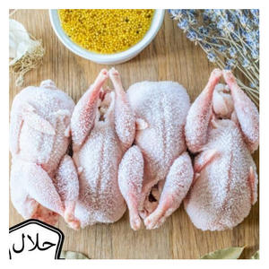 เนื้อนกกระทาแช่แข็งฮาลาลเกรดส่งออก ราคาประหยัด มีจำหน่ายทั่วโลก - Product Image 5