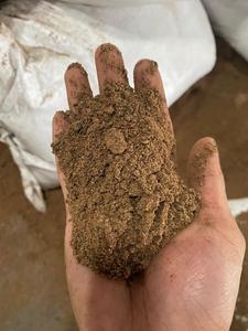 Harina de Nuez de Palma Orgánica 2026 Rica en Fibra y Proteínas |   Ideal para Alimentación Animal |   Cantidades al por mayor listas para exportación y calidad garantizada - Product Image 4