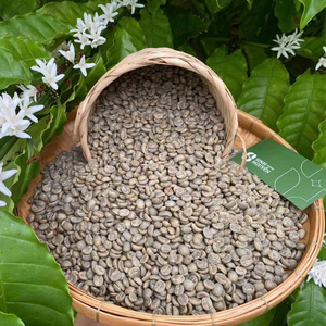 Grains de café Arabica Vert Spécial Non Torréfiés 99% Mûrs Processus Honey Wash OEM ODM Vente en Gros B2B Sac de 1Kg Usine Vietnam Top - Product Image 1