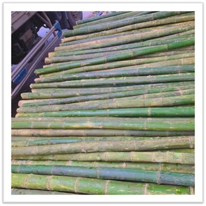 Bâtons et piquets en bambou naturel robustes pour projets de jardinage, clôtures, aménagement paysager, agriculture et applications extérieures - Product Image 1