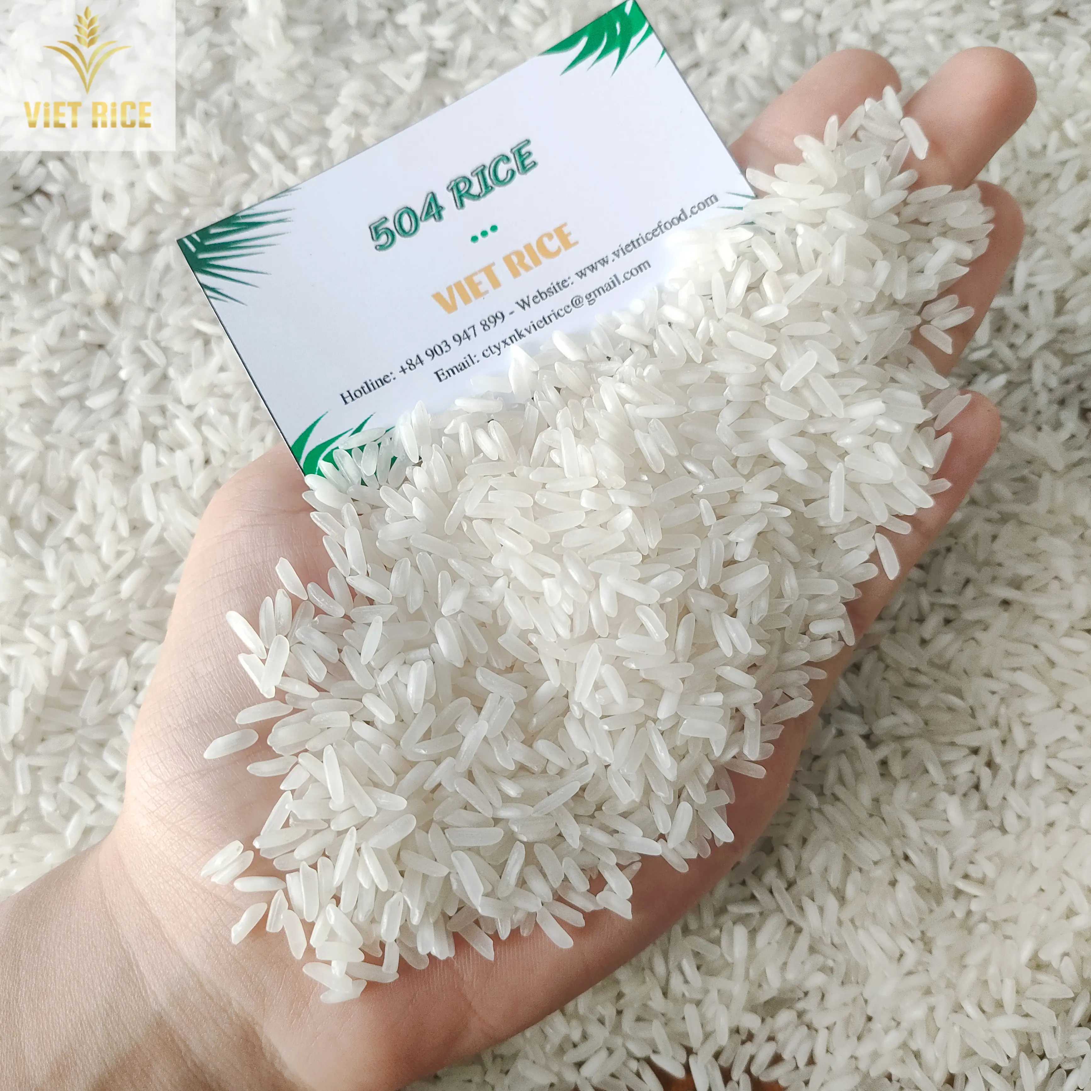 ベトナム米 (ベストサプライヤー、504米) 国内、国際的に優れた品質と量の白米が販売されています