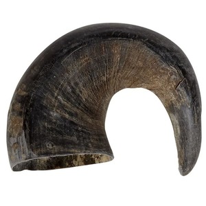 Hornillos de Cuerno Natural: Material Económico para Hacer Mangos de Cuchillos, Joyería Artesanal y Uso Decorativo a Precio de Mayoreo - Product Image 6