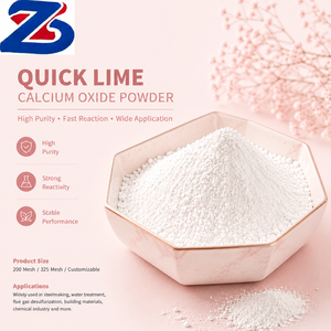 Poudre fine d'oxyde de calcium (Chaux vive CaO) pour le traitement environnemental et les applications de neutralisation industrielle - Product Image 1