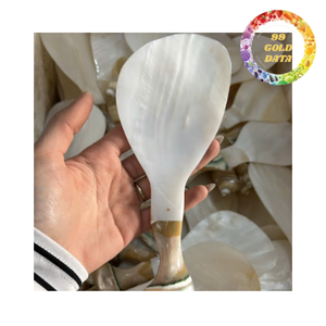 Mother of pearl spoon for coffee tea and dessert natural shell spoon for home and restaurant supply - Product Image 3