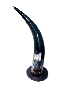 Buffalo <b>Decorative</b> Horn Home <b>Decor</b> Item Buffalo Horn <b>Decorative</b> item Stainless Steel Stand Desktop <b>Decorative</b> Horn - Product Image 3