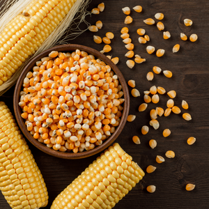 เมล็ดข้าวโพดเหลืองอบแห้งจากธรรมชาติ 100% เหมาะสำหรับทำป๊อปคอร์น กรีตส์ และการแปรรูปอาหาร/ คุณอัลินา - Product Image 1