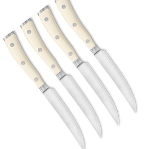 Ensemble de 4 couteaux à steak de style luxueux avec lames en acier inoxydable poli et manches ergonomiques noirs pour viande de qualité supérieure - Product Image 5