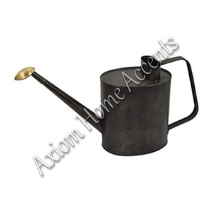 Regadera de inspiración Vintage Axiom Home Accents, decoración artesanal negra elegante, cuidado moderno de plantas con materiales cerámicos de Metal - Product Image 2