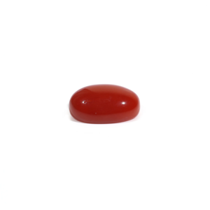 Loose Natural Japanese Red Coral Gemstone-3.11 Carat Certified Wholesale - Product Image 3