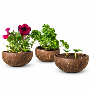 Tazones Biodegradables de Cáscara de Coco, Alternativa Ecológica a la Vajilla Desechable de Plástico, Personalizables, Mercados Globales Competitivos, 13-16 cm - Product Image 1