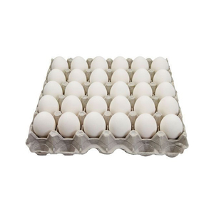 Fournisseur d'œufs de poule frais riches en protéines, œufs à coquille blanche disponibles dès maintenant, fournisseur en gros d'œufs de poule frais - Product Image 6