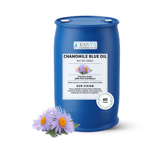 Aceite Esencial de Manzanilla Azul Puro de Primera Calidad, Suministro a Granel, Fabricante Confiable, Exportador, Precio al por Mayor - Product Image 3