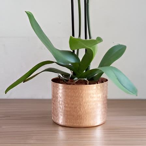Macetas Metálicas Contemporáneas Elegantes, Macetas Grandes Personalizadas para Jardín Exterior, Jardinera de Acero Corten, Jardinera de Hierro 2024 - Product Image 1