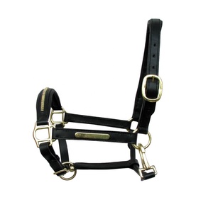 Top vente léger anglais selle-Style cheval licou doux rembourré cuir laiton matériel accessoires occidentaux pour les soins des chevaux - Product Image 4