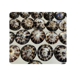 Conchas de Limpet de Calidad Confiable para Manualidades y Decoración, Acabado Liso, Patrón Único, Ideal para Diseños Creativos - Product Image 1