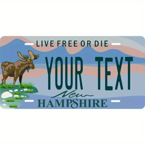 CIFbuy Plaque décorative personnalisée 12x6 pouces Ohio School Spirit pour voiture avec TikTok pour le service de retrait Temu - Product Image 1