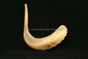 Shofar kosher kudu de Israel, Ángel tallado medio pulido, estilo religioso - Product Image 4