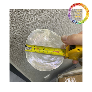 Natural Capiz <b>Shell</b> Tiles Sheets for <b>Lighting</b> Decoration Handmade <b>Shell</b> Panel for Lampshades - Product Image 4