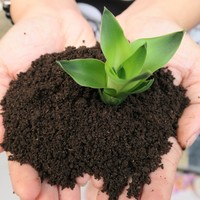 Vermicompost de haute qualité – Engrais organique naturel, excréments de vers, prix compétitif // M. Tom