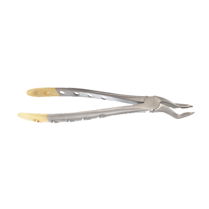 Clinical dental tool used for tooth removal ensuring strong hold and <b>easy</b> control for dentists Dental Forceps - Product Image 3