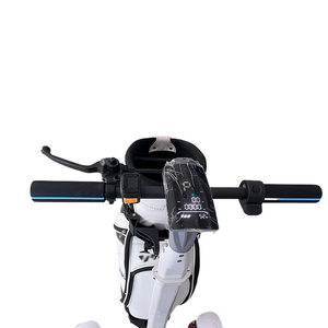 Dericsson 2025 with Lithium Battery Bag Electric 4-Wheel <b>Trolley</b> 2400W Aluminium alloy High quality Single Seat Golf Cart - Product Image 4