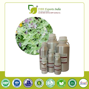 Huile de Catnip de Haute Qualité, Huile Essentielle de Nepeta Cataria Distillée à la Vapeur, Extrait Végétal pour Applications Parfumées et Soins Personnels - Product Image 2