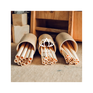 BEST SELLER Pailles en bambou réutilisables hautement recommandées, écologiques, de qualité supérieure, ensemble de pailles à boire, export direct d'usine - Product Image 1