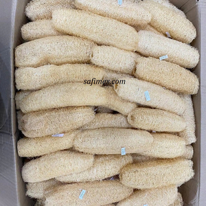 High Quality Organic Grown Natural Loofah Sponge 25-30cm for Bath and Kitchen Use Bulk Export from Vietnam Farm Good Price - Product Image 5