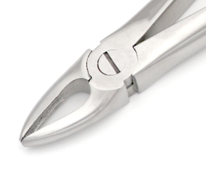 # Pinzas de Extracción Dentales 29, 4mm, para Raíces Superiores e Incisivos, Mordazas Cruzadas Dentadas, Mango Ligero, Instrumento Quirúrgico - Product Image 2
