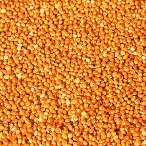 Millet Rouge Entier Naturellement Nutritif, Produit Polyvalent pour les Repas du Petit-Déjeuner et les Collations - Product Image 1