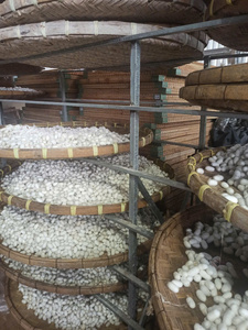 Fibre de Soie de Mûrier 100% Naturelle à Longues Fibres, Matière Première de Cocon Brut pour Fil à Filier, Artisanat, Fil à Coudre et Cosmétiques - Product Image 2