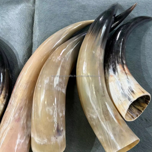 Corne à boire de qualité supérieure, artisanale, style Viking, corne naturelle décorative - Product Image 1