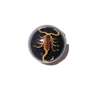Escorpión Dorado, Espécimen Real, Cabujón de Plástico Redondo de 19x19 mm, Base Plana Negra para Manualidades y Joyería - Product Image 6