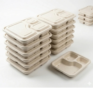 Boîte à lunch jetable en pulpe de canne à sucre, plateau carré avec couvercle, récipient alimentaire biodégradable pour restaurant à emporter - Product Image 1
