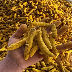 Extracto de Cúrcuma Orgánica en Polvo de Alta Calidad, Curcuma Longa 100%, 95% Curcumina en Polvo, Compre Hoy, Entrega Rápida, Calidad Premium - Product Image 4