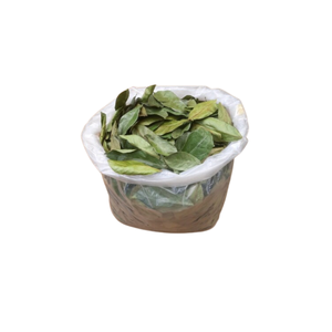 Dried Soursop Leaves Export Quality Manufacturer - Product Image 2