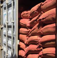 Polvo de Joss y Polvo de Makko Directo y Económico, Precio de Fábrica al por Mayor para la Fabricación de Incienso y Exportación de Varillas de Incienso