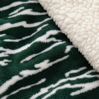Couverture chauffante en flanelle 62x84 pouces, 10 réglages de chaleur, 110V, ETL/FCC, arrêt automatique pour lit domestique, OEM/ODM