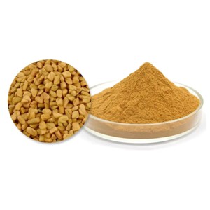 Poudre de graines de fenugrec 100 % pure, qualité alimentaire, fournisseur de poudre de fenugrec, contribue à maintenir l'équilibre digestif et le confort intestinal - Product Image 4
