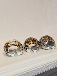 Anillo para Servilletas de Concha Marina Natural para una Decoración de Mesa Costera de Lujo, Elegante Decoración para Bodas en la Playa y Cenas Inspiradas en el Océano - Product Image 5