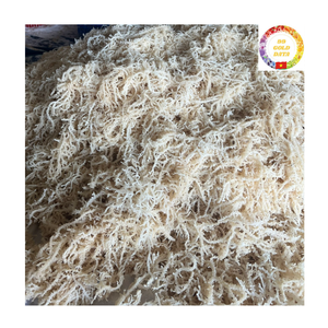 Mousse de mer en gros |   Algues marines séchées dorées |   Produits sauvages bruts |   Fournisseur en gros d'usine au Vietnam - Product Image 2