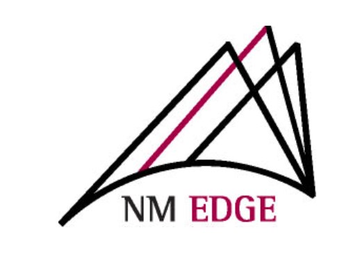 NM Edge Damascus logo