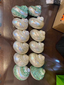 ACCENTS DÉCORATIFS POLIS SEASHELL POUR ACCESSOIRES DE MODE ET CADEAUX FAITS MAIN SOURCÉS DU VIETNAM - Product Image 2